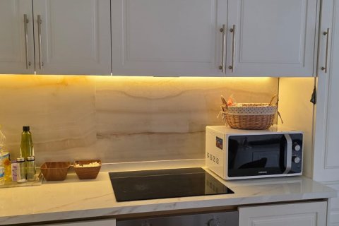 1+1 Wohnung  in Alanya, Antalya, Türkei Nr. 216270 - 9