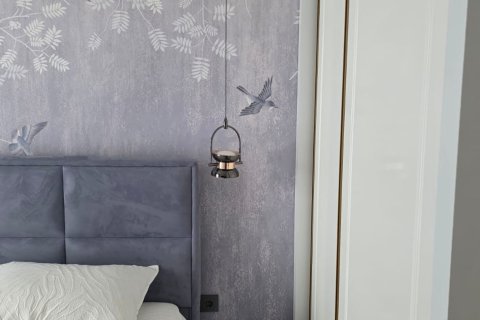 1+1 Wohnung  in Alanya, Antalya, Türkei Nr. 216270 - 16