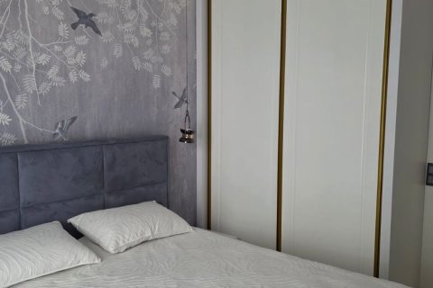 1+1 Wohnung  in Alanya, Antalya, Türkei Nr. 216270 - 18