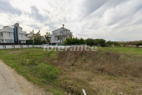 Tom  i Belek, Antalya, Tyrkiet Nr. 221224 - 2