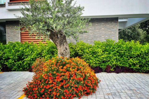 Daire   Alsancak, Girne,  №221225 - 15