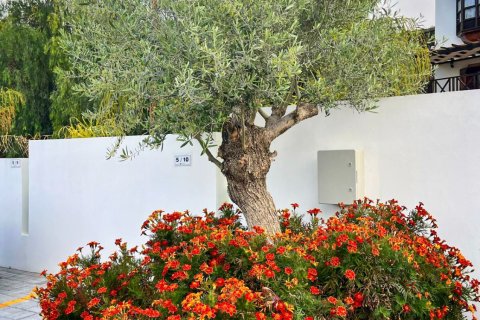 Daire   Alsancak, Girne,  №221225 - 18