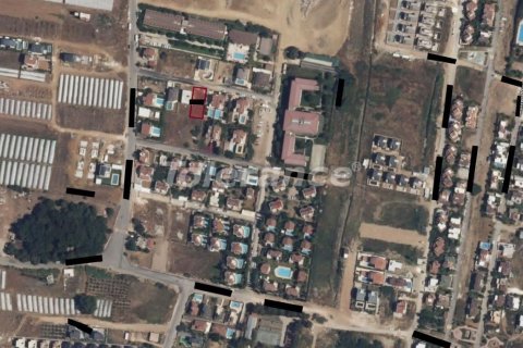 Tom  i Belek, Antalya, Tyrkiet Nr. 221223 - 5