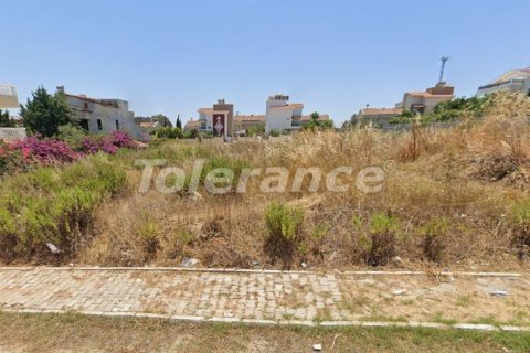 Tom  i Belek, Antalya, Tyrkiet Nr. 221223 - 2