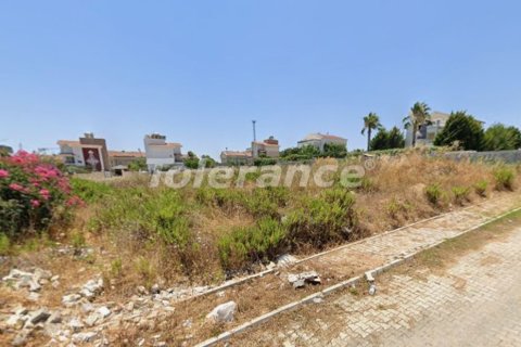 Tom  i Belek, Antalya, Tyrkiet Nr. 221223 - 3