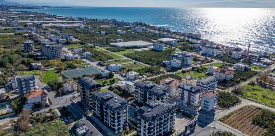 1+1 Wohnung in Alanya, Antalya, Türkei Nr. 221820