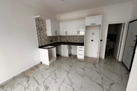 Аренда квартиры  в Аланье, Анталье, Турция 1+1, 45м2, №216613 – фото 6