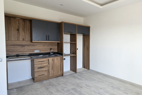1+1 Wohnung in Alanya, Antalya, Türkei Nr. 216609 - 7