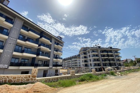 1+1 Wohnung in Alanya, Antalya, Türkei Nr. 216612 - 19
