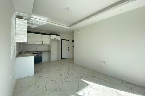 1+1 Wohnung in Alanya, Antalya, Türkei Nr. 216612 - 10