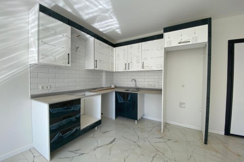 1+1 Wohnung in Alanya, Antalya, Türkei Nr. 216612 - 3