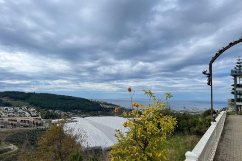 Wohnung  in Kargicak, Alanya, Antalya, Türkei Nr. 212053 - 13