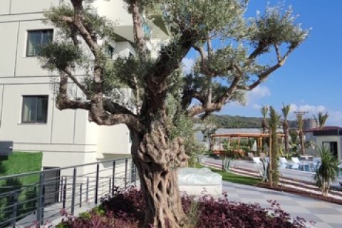 آپارتمان در  Antalya ، ترکیه 1 خوابه ، 53 متر مربع.  شماره 222622 - 17