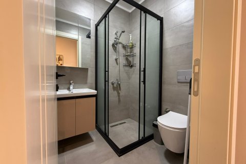 آپارتمان در  Mahmutlar ، ترکیه 2 خوابه ، 95 متر مربع.  شماره 218157 - 13