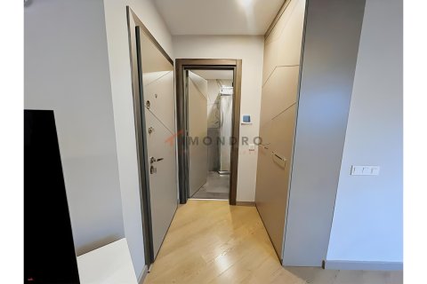 1+1 Lejlighed  i Aksu, Antalya, Tyrkiet Nr. 219893 - 12