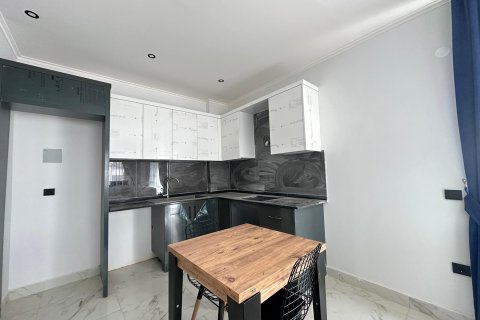 Аренда квартиры в Аланье, Анталье, Турция 1+1, 46м2, №216551 – фото 14