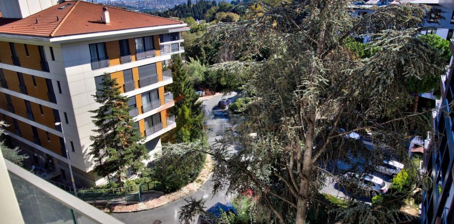 1+1 Wohnung  in Besiktas, Istanbul, Türkei Nr. 213314