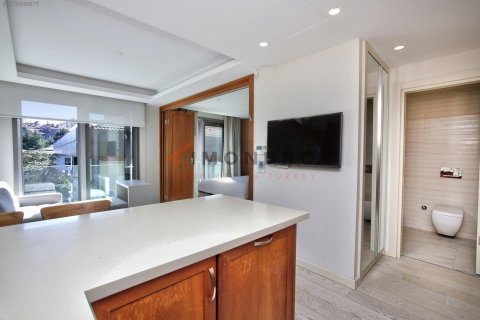 1+1 Wohnung  in Besiktas, Istanbul, Türkei Nr. 213314 - 7