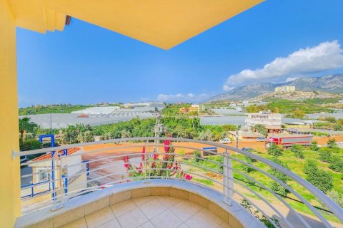 4+1 Villa  i Alanya, Antalya, Turkiet Nr. 221389 - 10