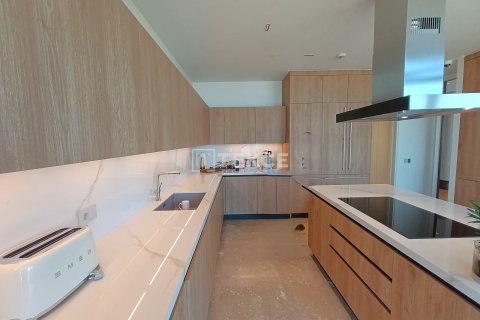 7+1 Takleilighet i Istanbul, Tyrkia Nr. 226750 - 19