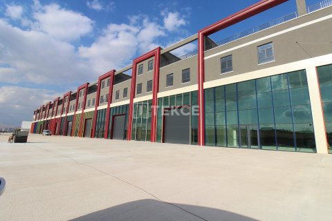 Commercial property for sale  in Akyurt, Ankara, Turkey, 340m2, No. 212311 – photo 7