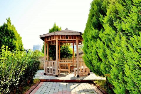 1+1 Lejlighed  i Alanya, Antalya, Tyrkiet Nr. 216548 - 16