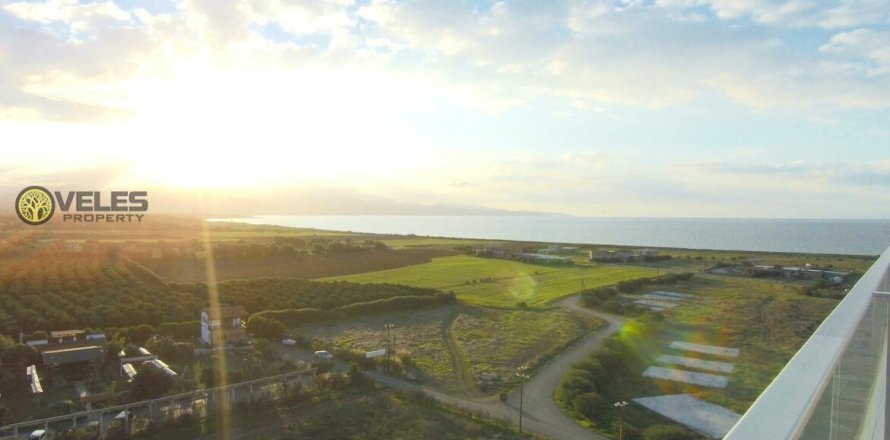 Daire Gaziveren, Güzelyurt, №213881