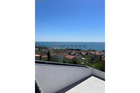 4+1 Villa  i Silivri, istanbul, Turkiet Nr. 215194 - 13