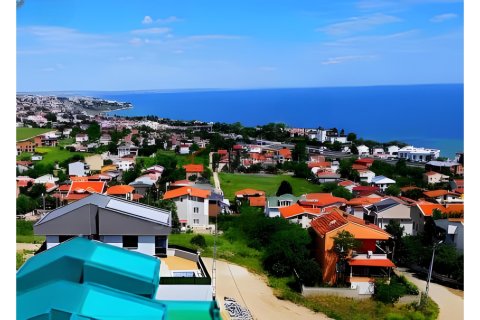 4+1 Villa  i Silivri, istanbul, Turkiet Nr. 215194 - 1