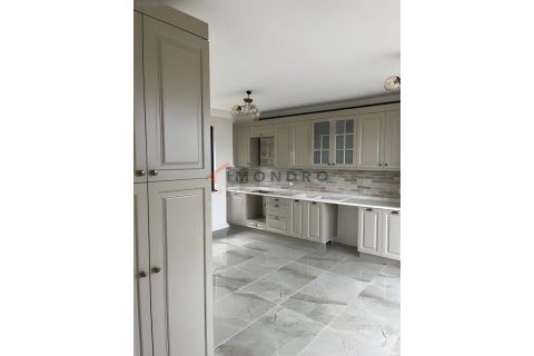 4+1 Villa  i Silivri, istanbul, Turkiet Nr. 215194 - 5