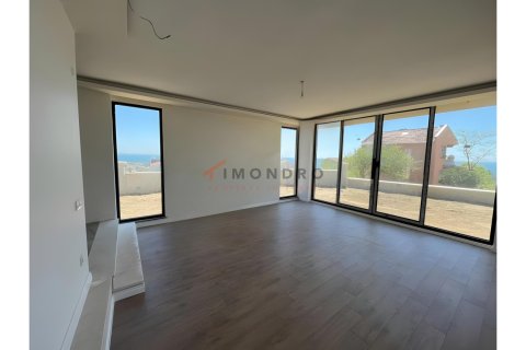 4+1 Villa  i Silivri, istanbul, Turkiet Nr. 215194 - 2