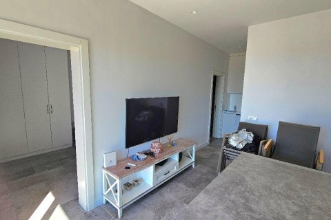 Villa  3+2  Bodrum, Muğla, Türkiye №215200 - 26