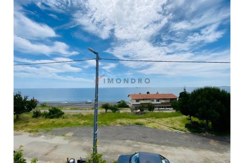 4+1 Villa i Silivri, Istanbul, Tyrkiet Nr. 215197 - 5