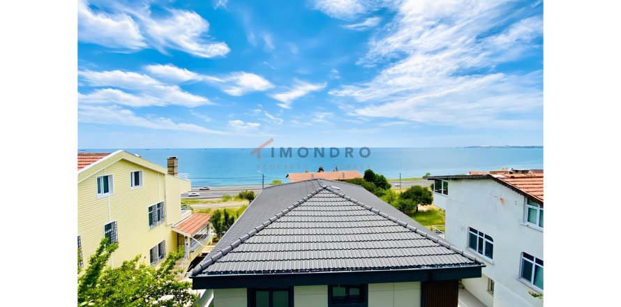 4+1 Villa i Silivri, Istanbul, Tyrkiet Nr. 215197