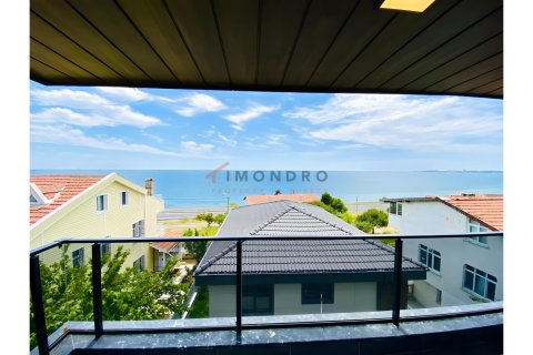 4+1 Villa i Silivri, Istanbul, Tyrkiet Nr. 215197 - 2