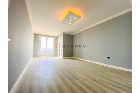 4+1 Villa i Silivri, Istanbul, Tyrkiet Nr. 215197 - 17