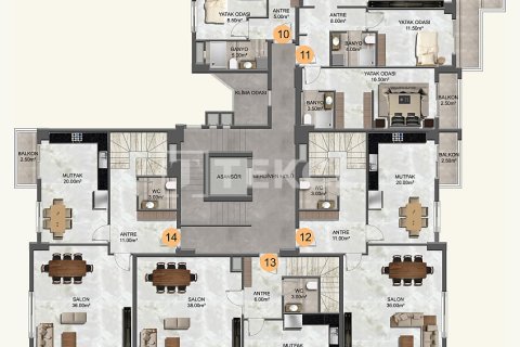 3+1 Penthäuser  in Alanya, Antalya, Türkei Nr. 224384 - 20