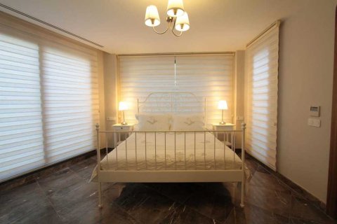 4+1 Villa i Bodrum, Mugla, Turkiet Nr. 233947 - 14