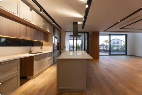 6+1 Villa i Dosemealti, Antalya, Tyrkiet Nr. 215528 - 9