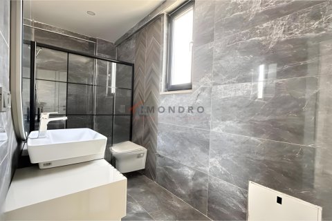 4+1 Villa  i Dosemealti, Antalya, Tyrkia Nr. 215529 - 21