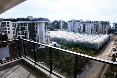 2+1 Wohnung  in Kargicak, Alanya, Antalya, Türkei Nr. 216217 - 14