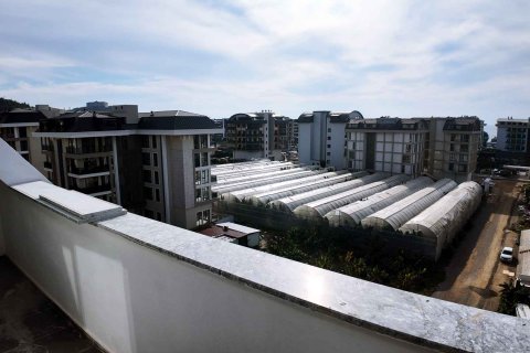 2+1 Wohnung  in Kargicak, Alanya, Antalya, Türkei Nr. 216217 - 22