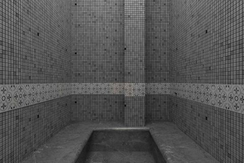 2+1 Wohnung  in Kargicak, Alanya, Antalya, Türkei Nr. 216217 - 35