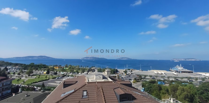 Daire  5+1  Maltepe, İstanbul, Türkiye №232602