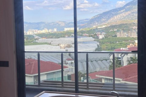 ویلا در  Alanya ، ترکیه 6 خوابه ، 360 متر مربع.  شماره 217358 - 19