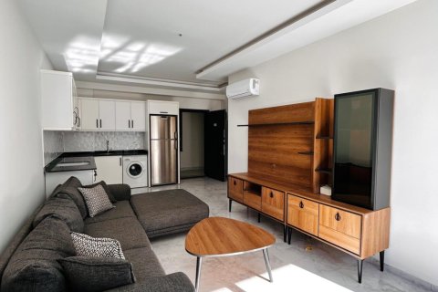 1+1 Wohnung  in Kestel, Schleimbeutel, Türkei Nr. 217355 - 4