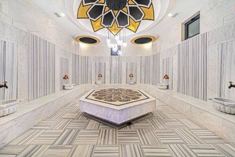 1+1 Lägenhet  i Avsallar, Antalya, Turkiet Nr. 218878 - 16