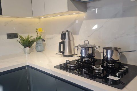 4+1 Lägenhet  i Mahmutlar, Antalya, Turkiet Nr. 216002 - 3