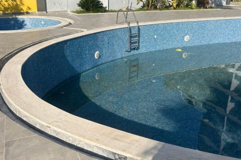 3+1 Lägenhet  i Mahmutlar, Antalya, Turkiet Nr. 217580 - 18