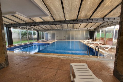 3+1 Wohnung in Kestel, Schleimbeutel, Türkei Nr. 217832 - 17